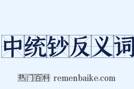中统钞反义词是什么意思的图片